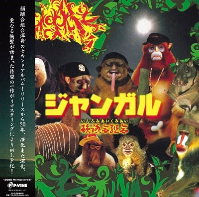 infumiaikumiai - Jungal - Japan Vinyl 2 LP Record
