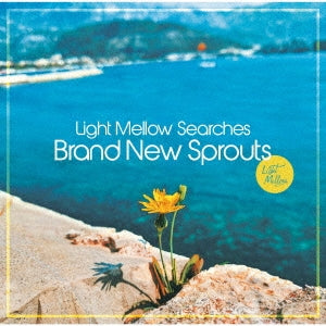 Light Mellow Searches - Brand New Sprouts - Light Mellow Searches - Brand New Sprouts - Japan 2 CD