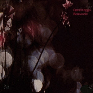 David Diggs - Realworld - Japan Mini LP CD