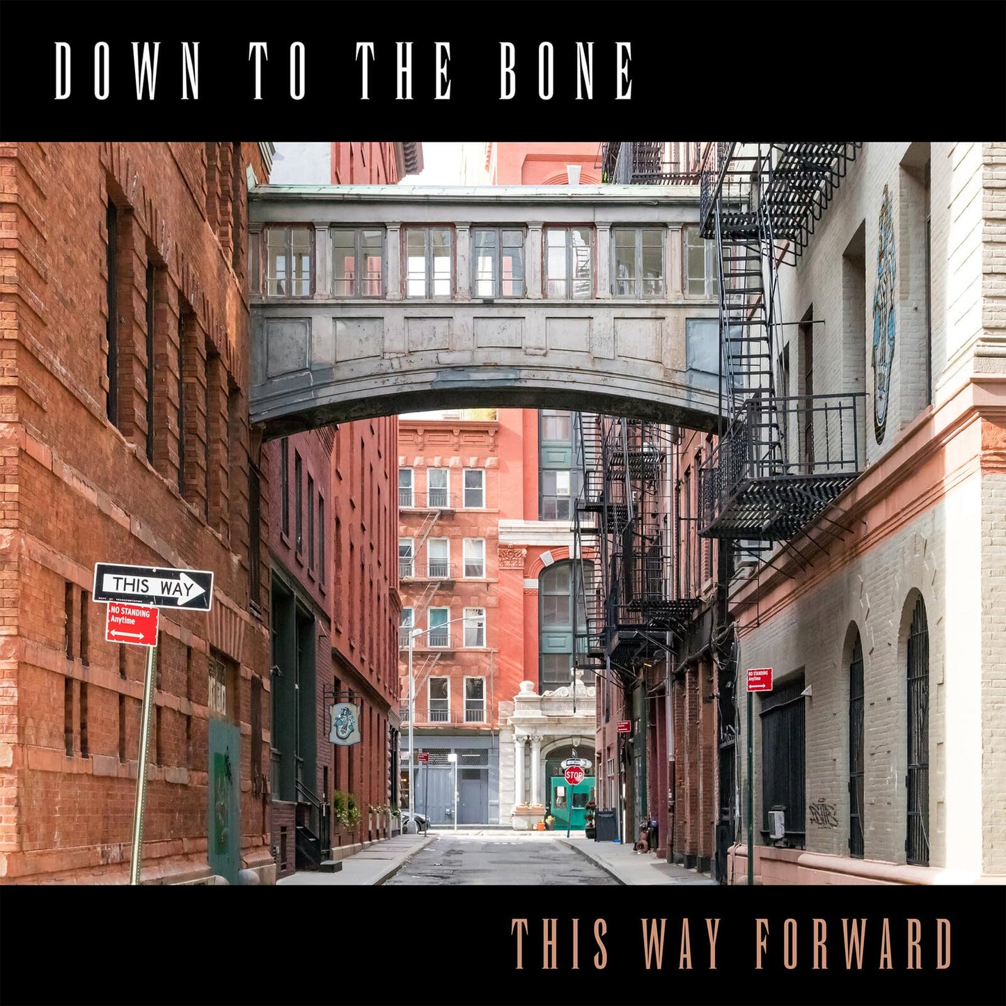 Down To The Bone - This Way Forward - Import CD
