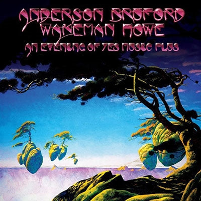 Anderson Bruford Wakeman Howe - An Evening Of Yes Music Plus: 2Cd+2Dvd Remastered Box Set - Import2CD+2DVD