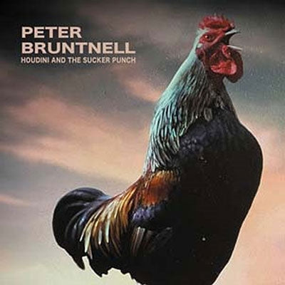 Peter Bruntnell - Houdini And The Sucker Punch - Import CD