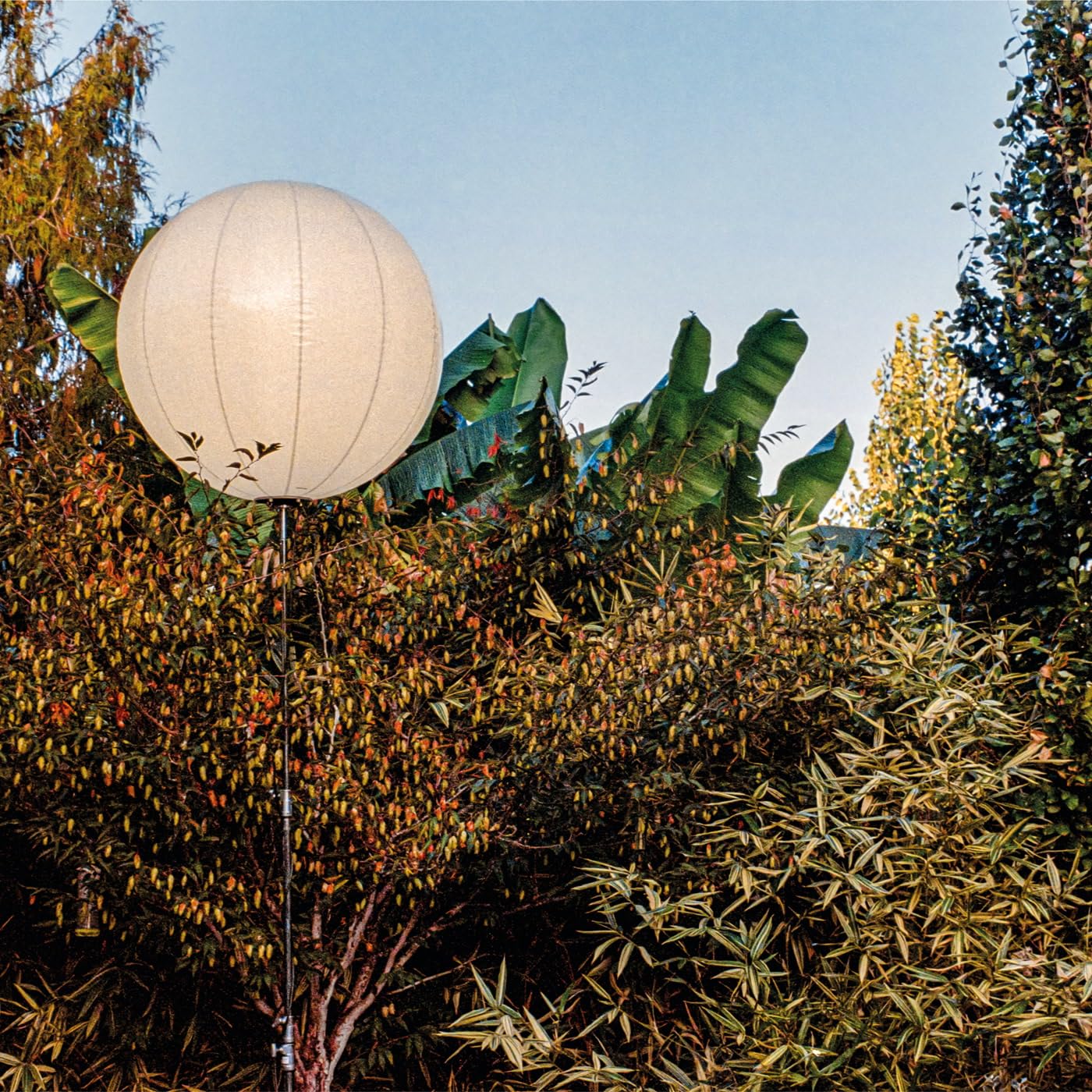 William Selman - The Light Moves Between - Import CD