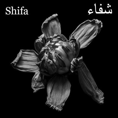 Shifa - Ecliptic - Import CD