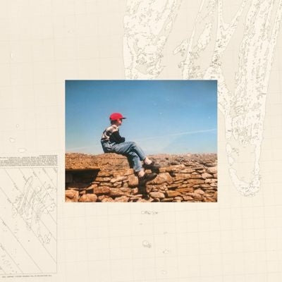 Merlyn Driver - It Was Also Sometimes Daylight - Import Vinyl 2 LP Record