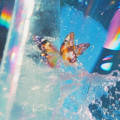 Daphni - Butterfly - Import CD