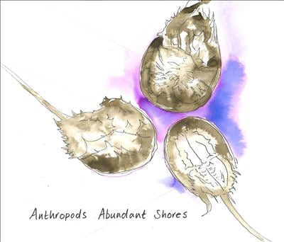 Anthropods - Abundant Shores - Import CD