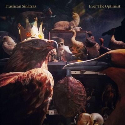 Trashcan Sinatras - Ever the Optimist - Import LP Recurd