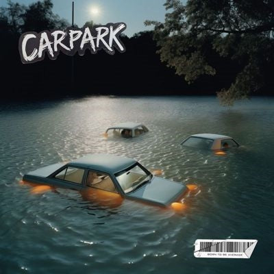 Carpark - Born to Be Average - Import Vinyl LP Record