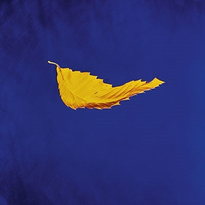 New Order - True Faith (2023 Remaster) - Import Vinyl 12 inch Record