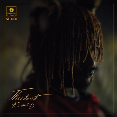 Thundercat - It Is What It Is - Import Red Vinyl LP Record