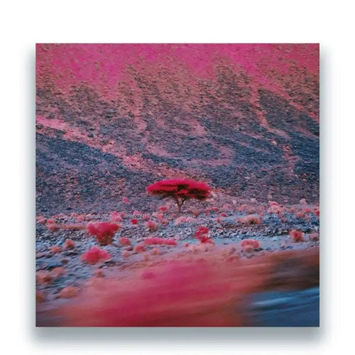 O'Flynn - Kairos - Import Vinyl 2 LP Record