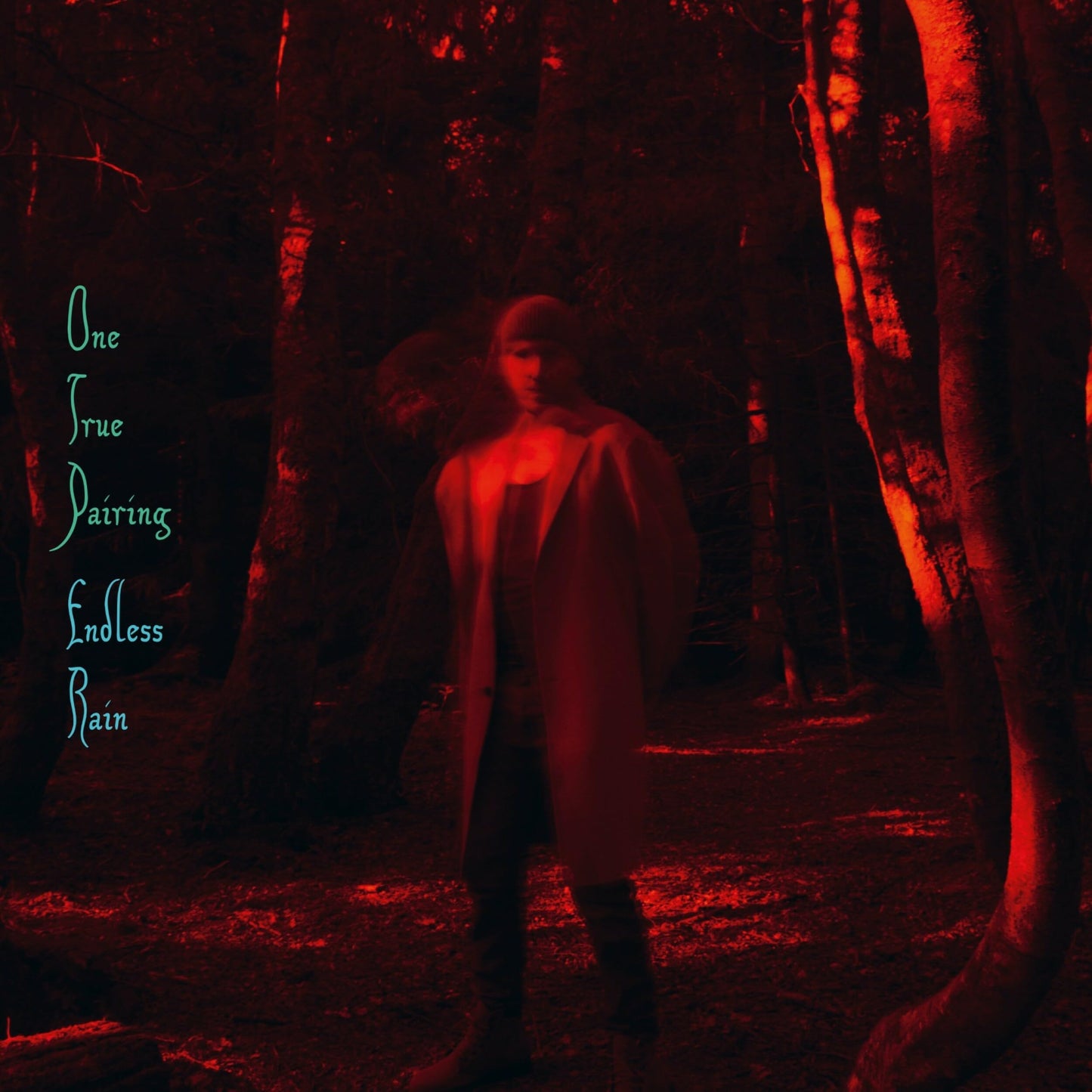 The Lovely Eggs - Deathgrip Kids / Memory Man - Import 7 inch Shingle Record
