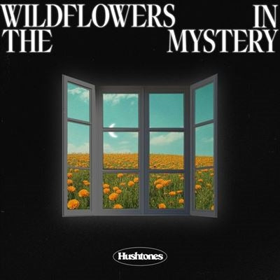 The Hushtones - Wildflowers In The Mystery - Import Colored Vinyl LP Record Limited Edition