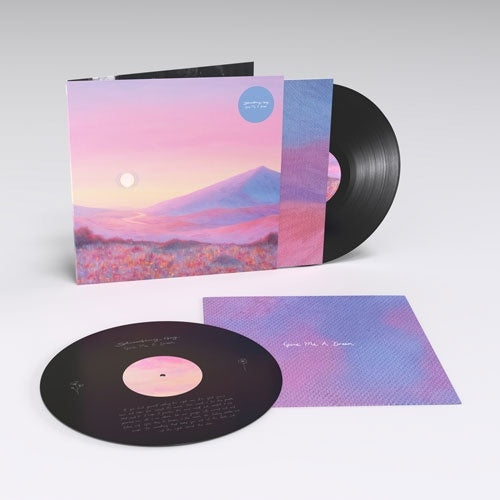 Strawberry Guy - Give Me A Dream - Import Vinyl 2 LP Record