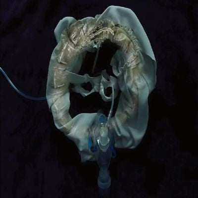 Ship Sket - InitiatriX - Import Vinyl LP Record