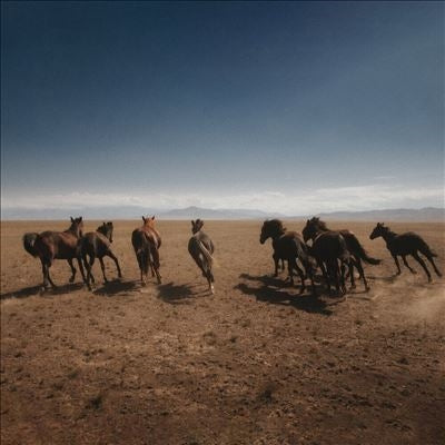 Dan Shake - Verde - Import Vinyl 12inch Single Record