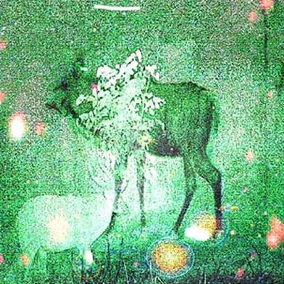 Ghost Lemurs - Wombs and Alien Spirits - Import Vinyl LP Record