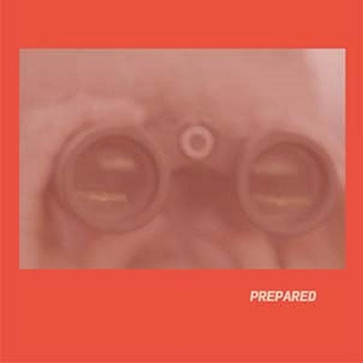 Laura J. Martin - Prepared - Import CD