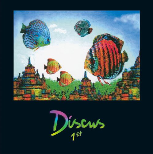 African Head Charge - A Trip To Bolgatanga - Import CD