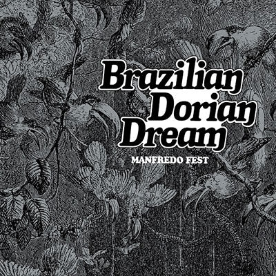 Manfredo Fest - Brazilian Dorian Dream - Import Vinyl LP Record