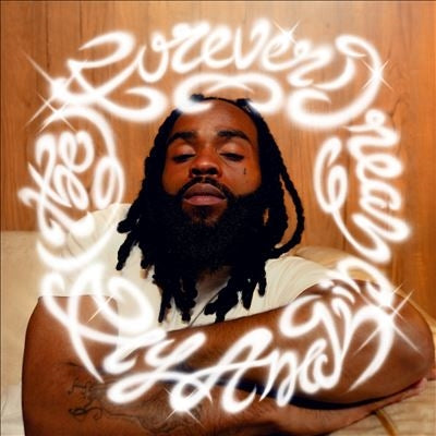 Fly Anakin - The Forever Dream - Import Vinyl 2 LP Record