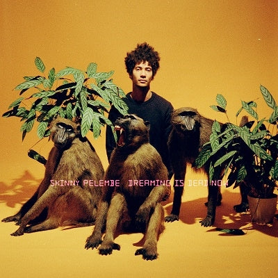 Skinny Pelembe - Dreaming Is Dead Now - Import CD