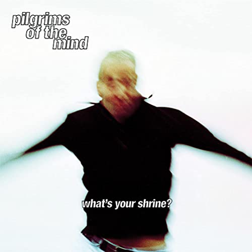 Pilgrims Of The Mind - What's Your Shrine? - Import Vinyl 2 LP Record