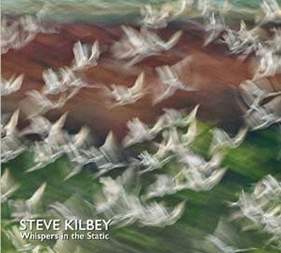 Steve Kilbey - Whispers In The Static - Import CD