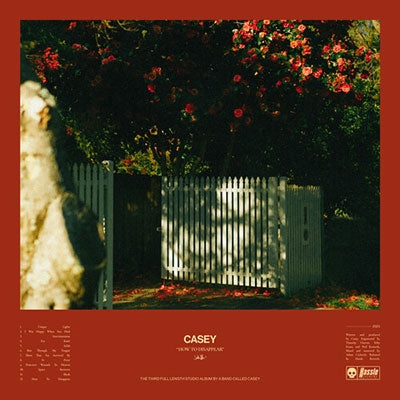 Casey - How To Disappear - Import CD