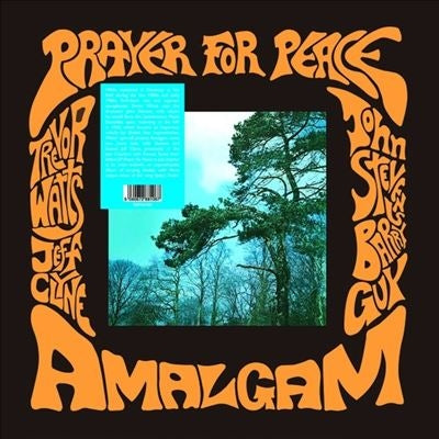 Amalgam - Prayer For Peace - Import LP Record