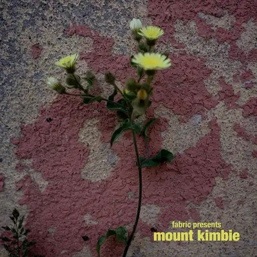 Mount Kimbie - Fabric Presents Mount Kimbie - Import Vinyl 2 LP Record Limited Edition