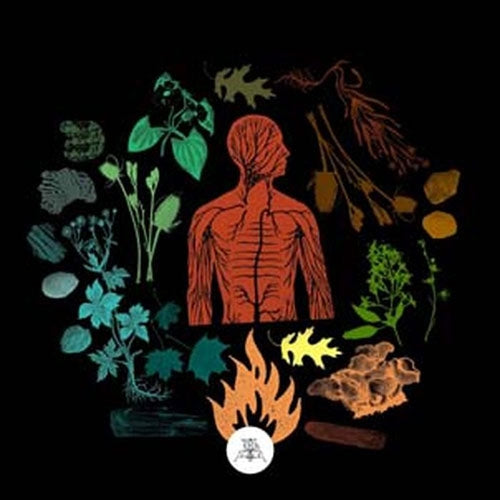Camp Of Wolves - Bear Creek - Import CD