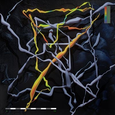 Folly Group - Down There! - Import CD