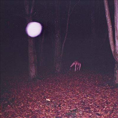 Buzzard Buzzard Buzzard - Skinwalker - Import CD