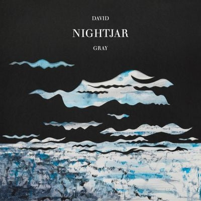 David Gray - Nightjar - Import Vinyl 2 LP Record