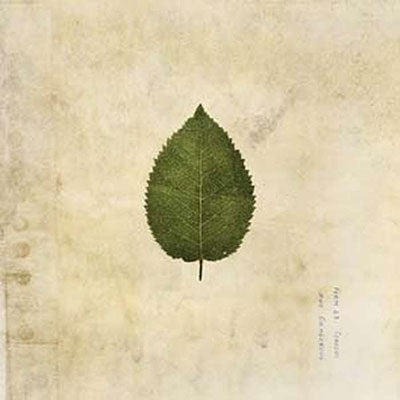The Boxer Rebellion - The Cold Still - Import Vinyl LP Record Forest Green Vinyl Limited Edition