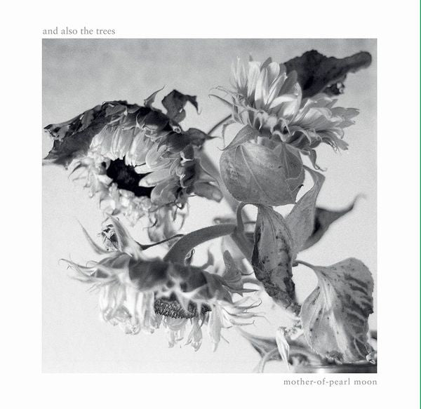 And Also The Trees - Mother-of-Pearl Moon - Import CD