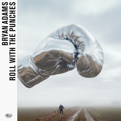 Bryan Adams - Roll With The Punches - Import Vinyl LP Record