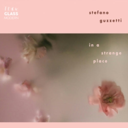 Stefano Guzetti - In a Strange Place - Import CD