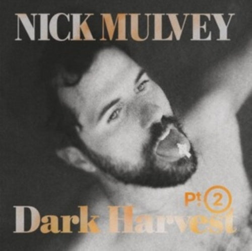 Nick Mulvey - Dark Harvest, Pt. 2 - Import CD