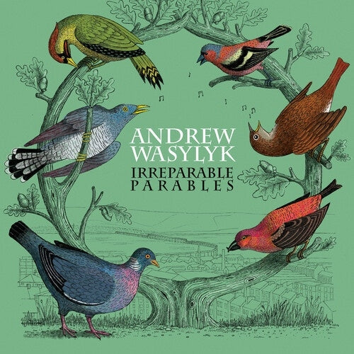 Andrew Wasylyk - Irreparable Parables - Import Vinyl LP Record