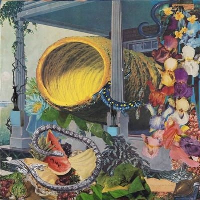 Memotone - Pruning - Import Vinyl LP Record