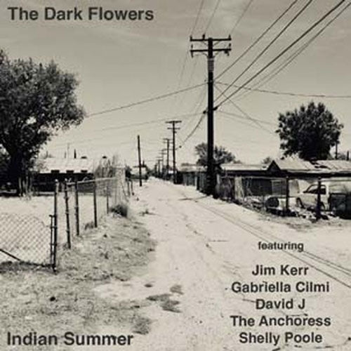 The Dark Flowers - Indian Summer - Import Clear Vinyl LP Record Limited Edition