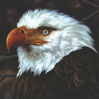 Mogwai - The Hawk Is Howling - Import 2 Vinyl LP Record Limited Edition