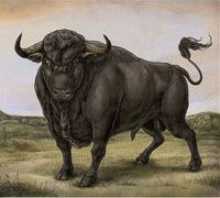 San Fermin - San Fermin - Import CD