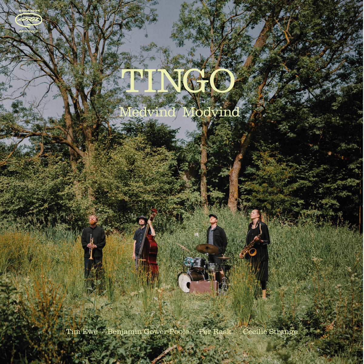 Pitingo - Medvind Modvind - Import Vinyl LP Record