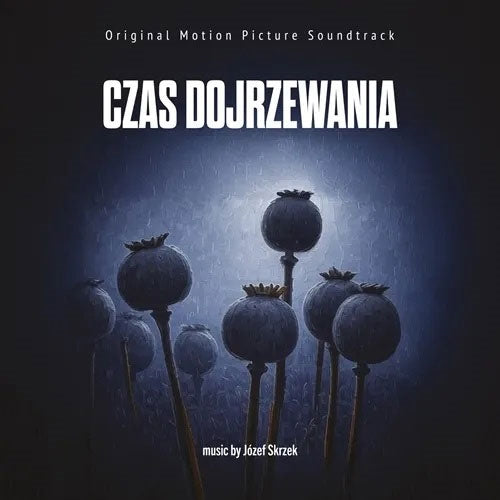 Jozef Skrzek - Czas Dojrzewania - Import CD Bonus Track
