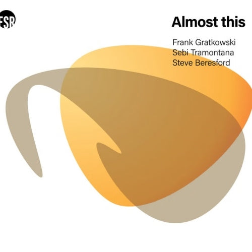 Frank Gratkowski, Sebi Tramontana, Steve Beresford - Almost This - Import CD
