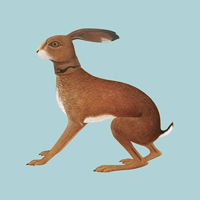 Vashti Bunyan - Lookaftering (Expanded Edition) - Import 2 CD